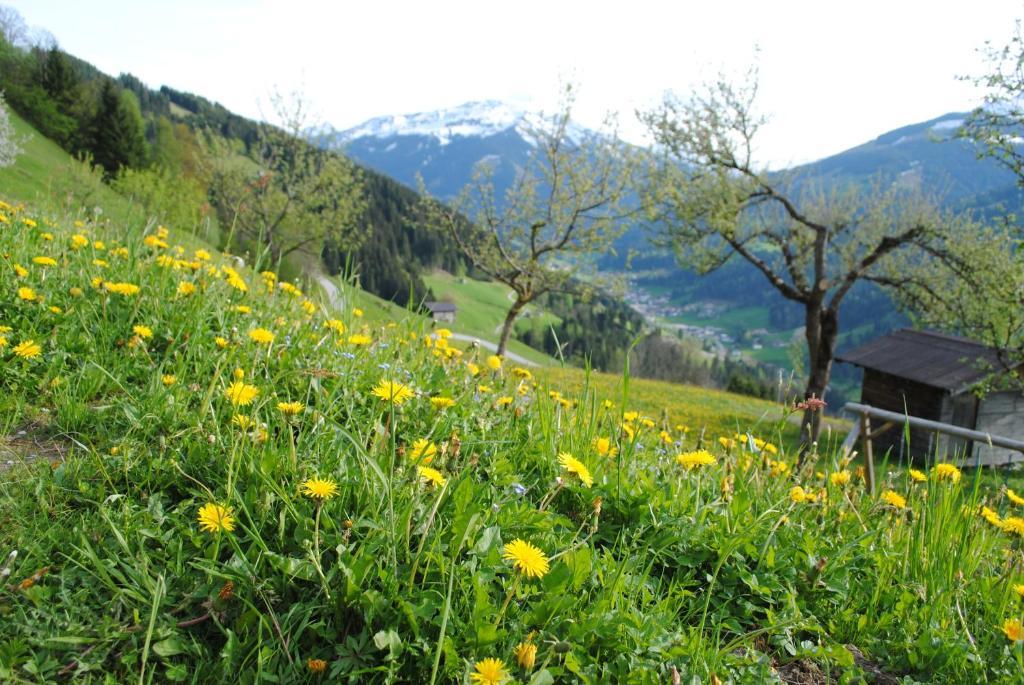 Siedlerhof Lejlighed Hopfgarten im Brixental Eksteriør billede